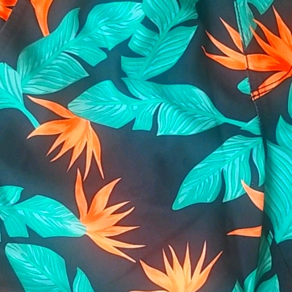 Short trunks - Picture 2 of 3